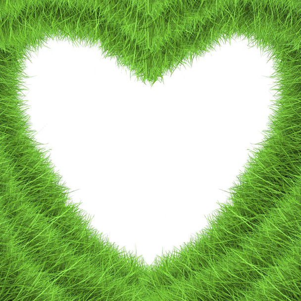 zielone serce na białym tle - Zdjęcie, obraz