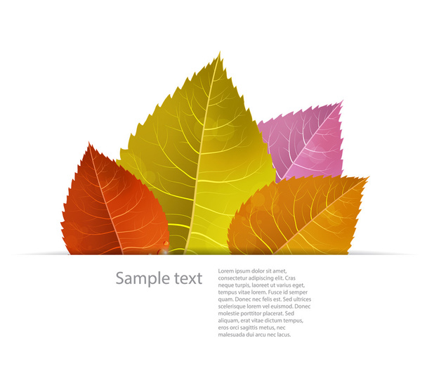 Autumn background - Vetor, Imagem