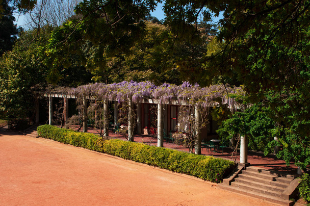 Порто: сади Serralves фонду, одним з найбільш важливих культурних установа Португалії з своїм парком, приклад сучасної архітектури, Модернізм і ар-деко - Фото, зображення