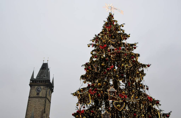 Architecture from Prague in Christmas  - Photo, Image