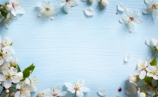 καλλιτεχνικό υπόβαθρο άνοιξη? φρέσκα λουλούδια σε μπλε φόντο - Φωτογραφία, εικόνα