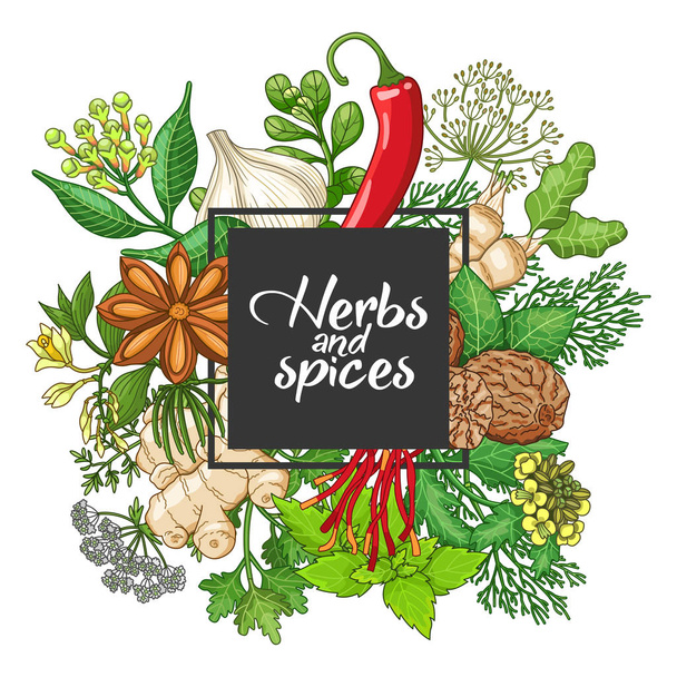 Vector hot square design with spices and herbs - Vector, Image