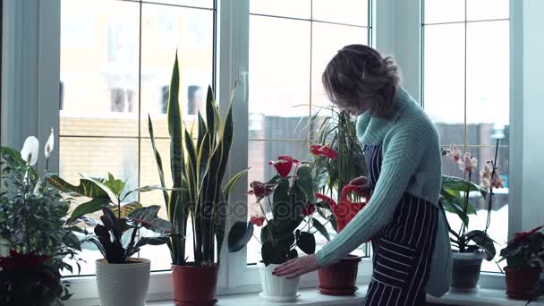 Young woman watering flowers inside home - Imágenes, Vídeo