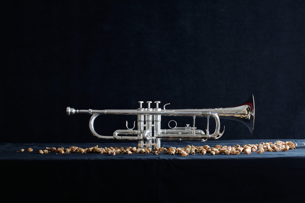 Nice trumpet on black background - Foto, afbeelding