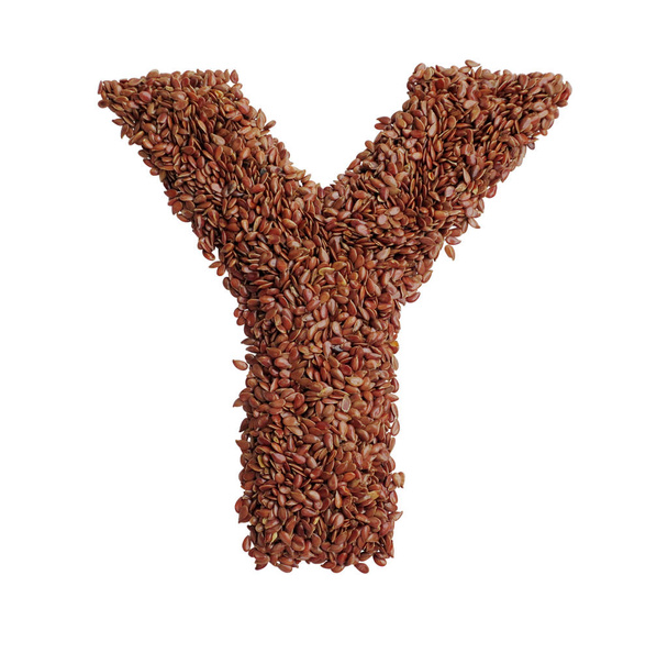 Letter Y made with Linseed also known as flaxseed isolated on wh - Φωτογραφία, εικόνα