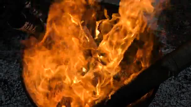 Φωτιά σε ένα κάδο ανακύκλωσης - Πλάνα, βίντεο