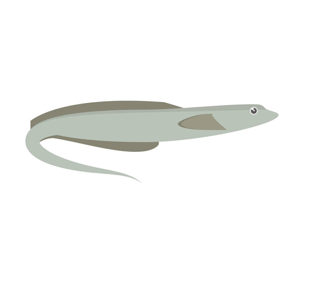 anguila moray peces océano eléctrico
 - Vector, imagen