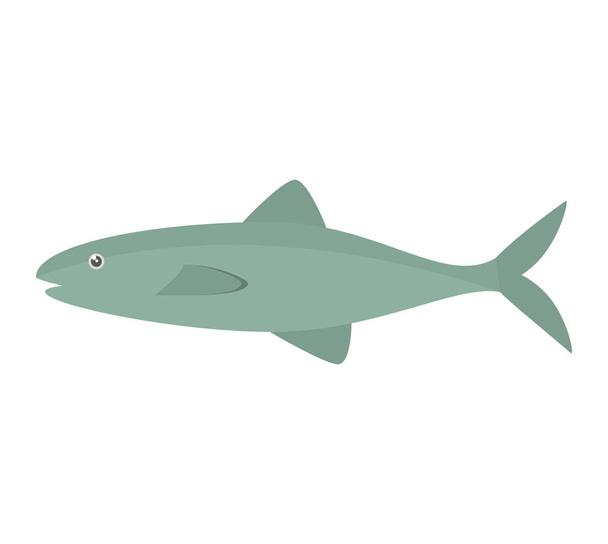 salmon fish sea food fresh - ベクター画像