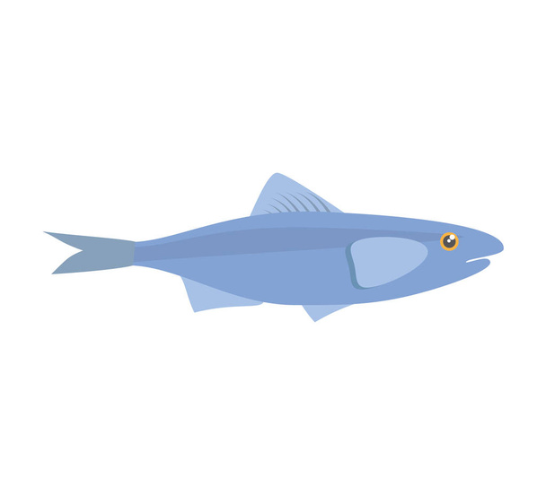 sardine sea food sealife traditional - Vector, Image