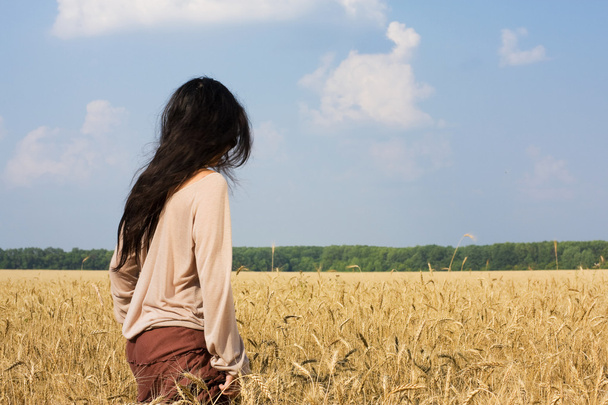 Hippie menina no campo de trigo visão traseira
 - Foto, Imagem