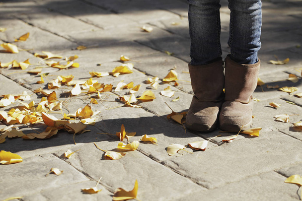 legs of little girl with autumn leaves - Foto, afbeelding