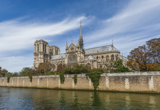 katedrála Notre dame - Fotografie, Obrázek