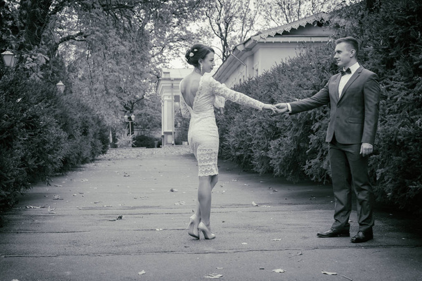 Svatba, chůze, ženich a nevěsta - Fotografie, Obrázek