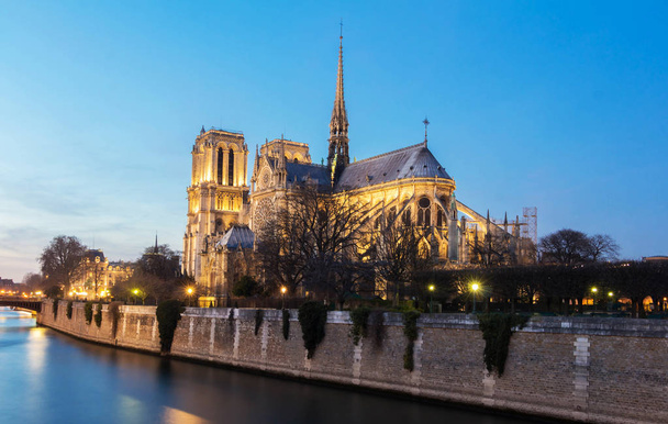 De Notre Dame-katholieke kathedraal in de nacht, Paris, Frankrijk. - Foto, afbeelding