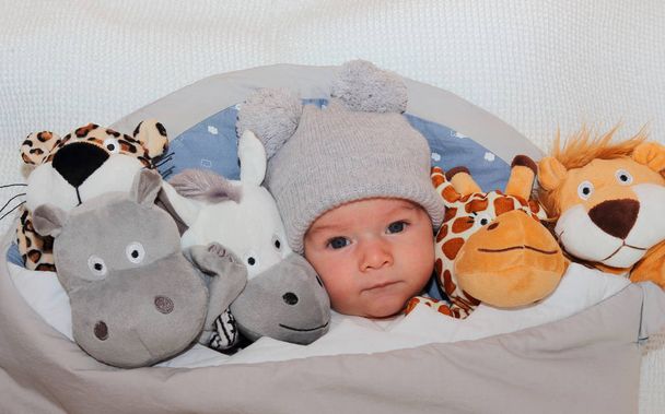 Doux petit bébé couché sur le lit entouré d'animaux en peluche safari mignon
 - Photo, image