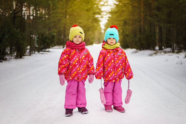 due ragazze in inverno nella foresta
 - Foto, immagini