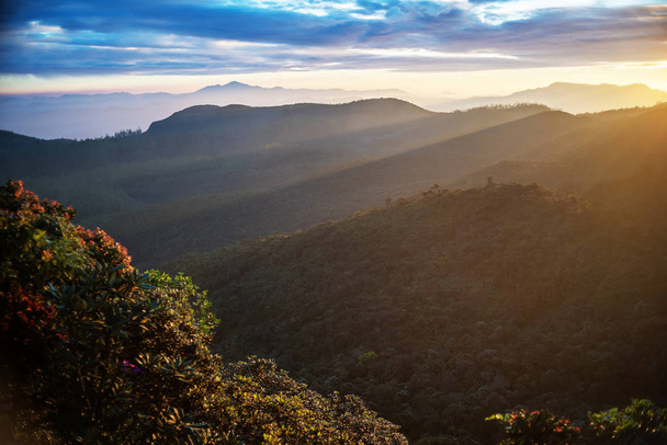 Sri Lanka: highland Horton Plains National Park - Zdjęcie, obraz