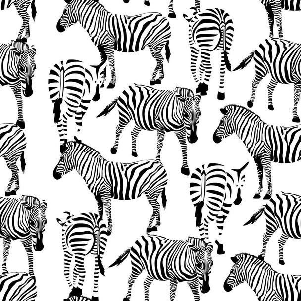 Zebra seamless pattern. - Вектор, зображення