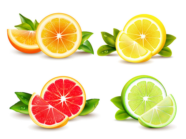 Citrus Fruits  Segments 4 Realistic Icons  - ベクター画像