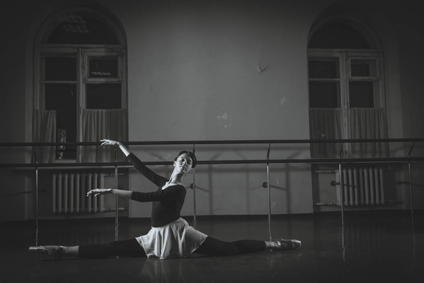 Ballet. Dancer warming up in the hall. Black and white photograp - 写真・画像