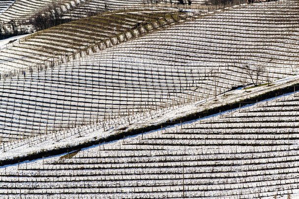 Wijngaard heuvels onder sneeuw in de regio Langhe in Italië - Foto, afbeelding