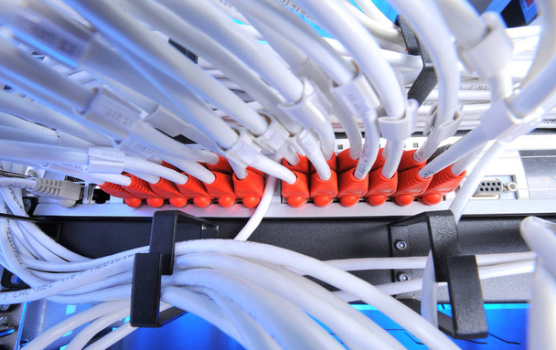 large group of internet cabling in the data center - Photo, Image