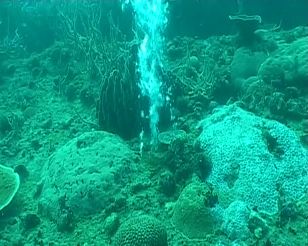 Mergulho vídeo subaquático
 - Filmagem, Vídeo