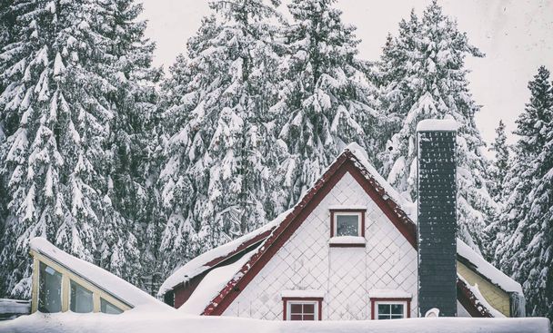 Tető Deatil a kabin az erdőben, valahol Németországban a Harz nemzeti parkban, világi fenyők előtt mélyen található fedett hóban, egy idilli hangulatot teremt. - Fotó, kép