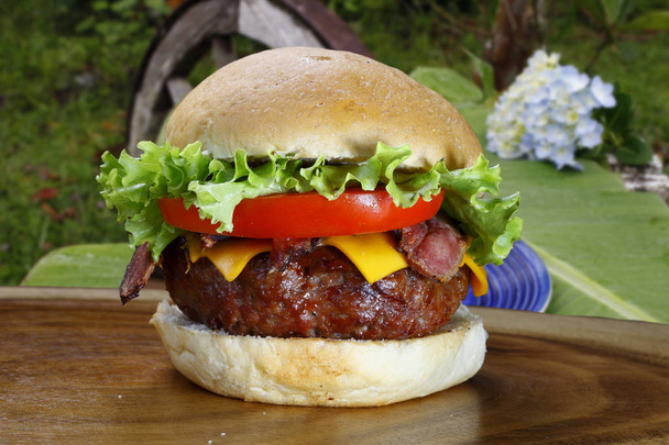Frischer Burger mit Käse - Foto, Bild