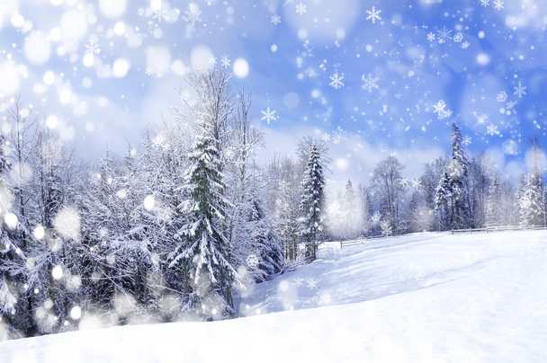 Красивый зимний пейзаж - Фото, изображение