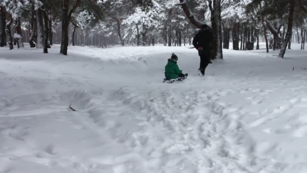 Nagypapa tekercs a havas téli erdő kis unokája egy szánkó - Felvétel, videó