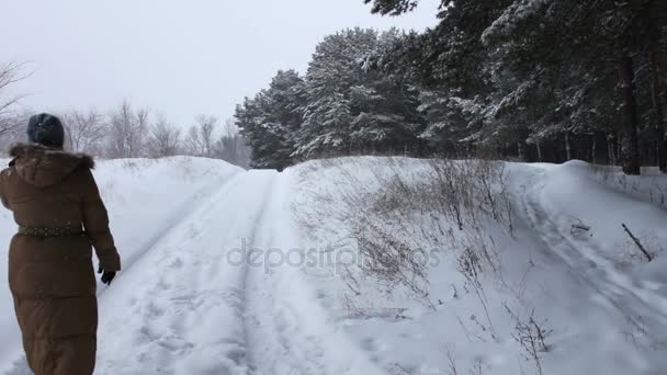 Ένα κορίτσι σε ένα μακρύ καφέ παλτό βόλτες σε ένα χιονισμένο δάσος μονοπάτι το χειμώνα - Πλάνα, βίντεο