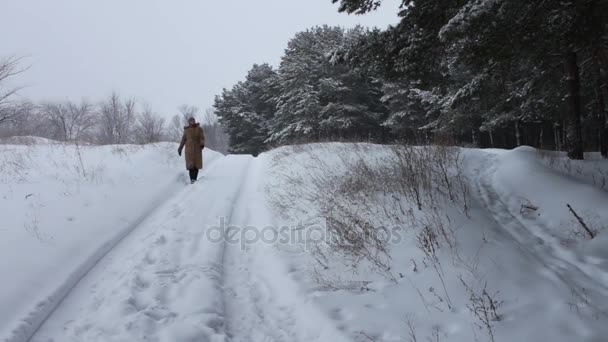 Dívka v dlouhém hnědém kabátě chodí na zasněžené lesní cesta v zimě - Záběry, video
