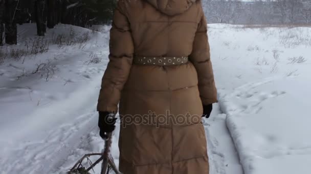 Γυναίκα τραβά υλοτομημένα χριστουγεννιάτικο δέντρο σε ένα χιονισμένο μονοπάτι πίσω στο σπίτι - Πλάνα, βίντεο