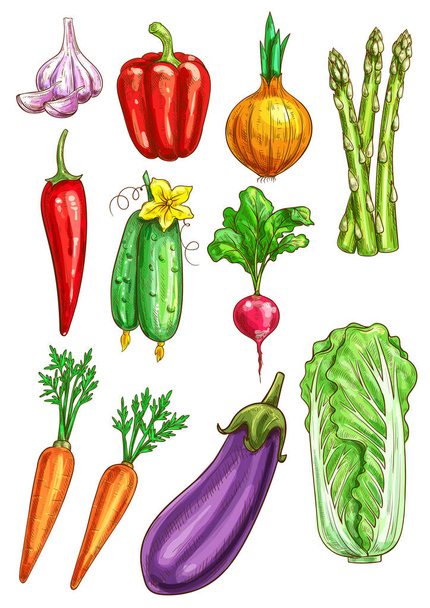Vegetables vector sketch isolated icons - Vector, Image