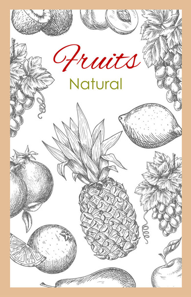 Natuurlijke vruchten schets vector poster - Vector, afbeelding