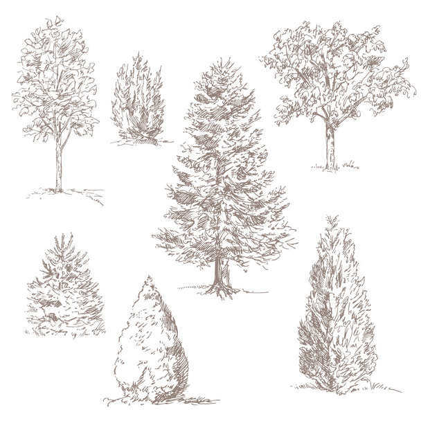 Kézzel rajzolt fák elszigetelt fehér - Vektor, kép
