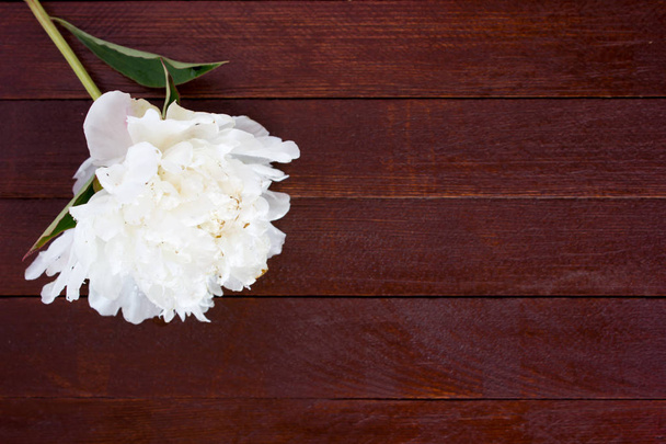 Witte bloemen van pioenrozen op houten tafel - Foto, afbeelding