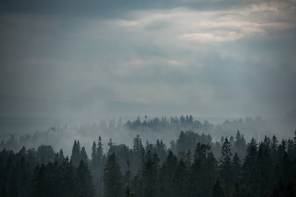 Góry Las objęte mgły - Zdjęcie, obraz