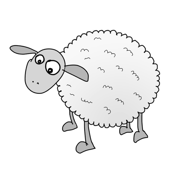 Schafe auf weiß - Vektor, Bild