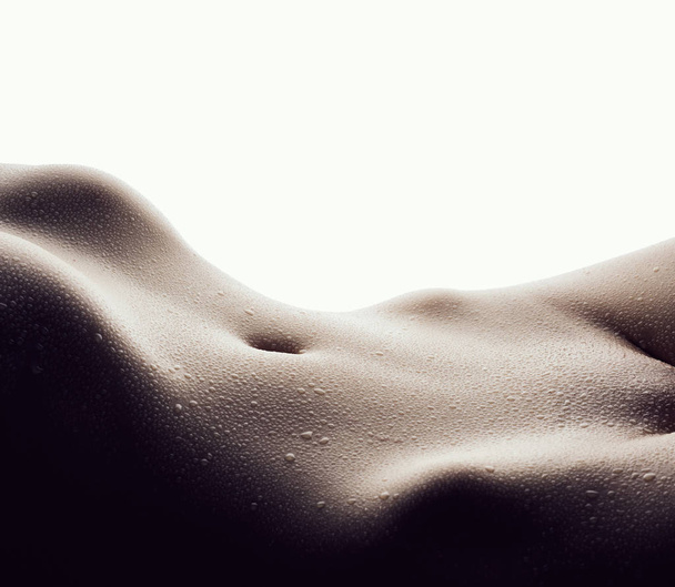 background with sensual female body  - Фото, зображення