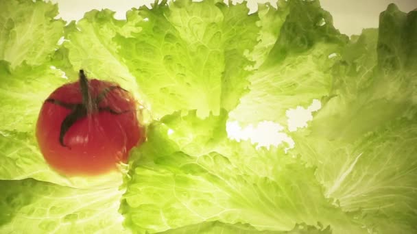drei reife Tomaten fallen in Wasser mit Salatblättern - Filmmaterial, Video