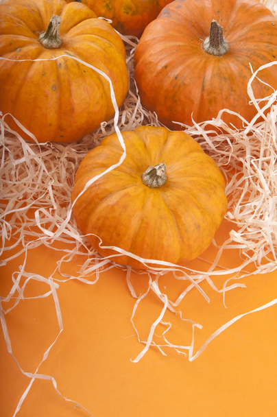 Pumpkin background - Zdjęcie, obraz