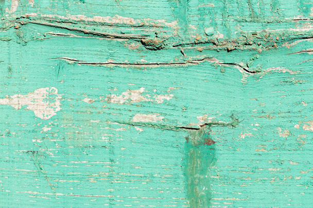 πράσινο ξύλο σιτηρών και κόμβοι closeup λεπτομέρεια - Φωτογραφία, εικόνα