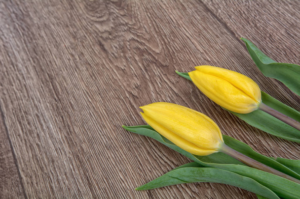 Yellow tulips on a wooden background - Photo, Image