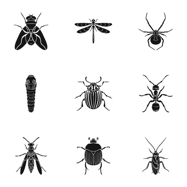 Insects set icons in black style. Big collection of insects vector symbol stock illustration - Vektor, kép
