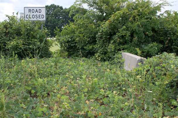 Тротуар заросли с Кудзу точек к дороге закрытый знак
 - Фото, изображение