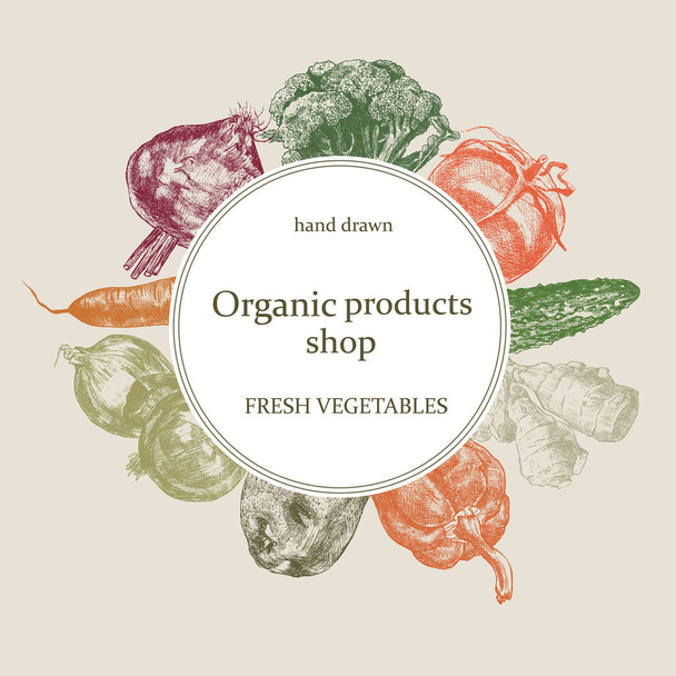 Organic shop logo. Hand drawn vector. Fresh vegetables set. - Vector, Image