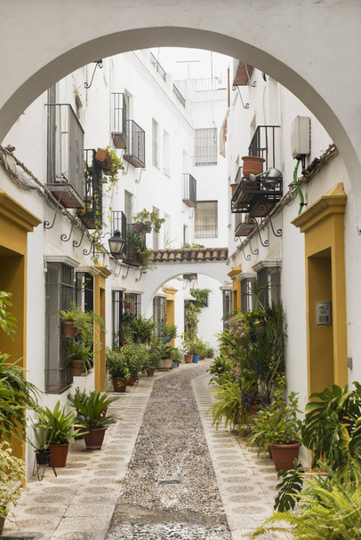 Cordoba (Andalucia, Spain): street - Φωτογραφία, εικόνα