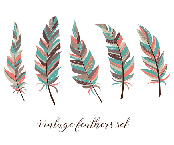 Vintage feathers set. Five elegant feathers of boho style on a white background. - Вектор,изображение